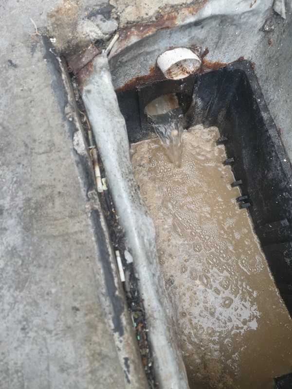 8ecbbce6220444790434fa38ab044f85_1782353